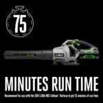 615 CFM Cordless Blower - Hình 4