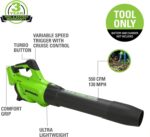 40V Cordless Blower - Hình 2