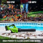 40V Cordless Blower - Hình 4