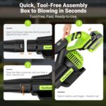 Dwarfuarum Cordless Leaf Blower - Hình 8
