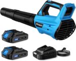 450 CFM Cordless Leaf Blower - Hình 8