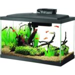 10 Gallon LED Fish Tank Starter Kit – Complete Set — view 10