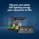 10 Gallon LED Fish Tank Starter Kit – Complete Set — view 4