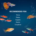 10 Gallon LED Fish Tank Starter Kit – Complete Set — view 7