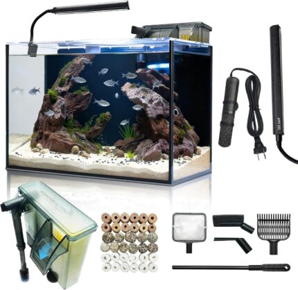 10 Gallon
