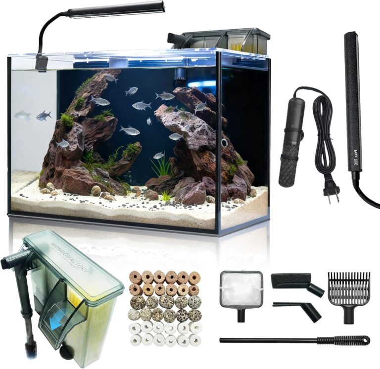 10 Gallon