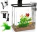 Compact 1.5 Gallon Desktop Aquarium Kit with LED Light & Filter