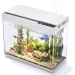 Smart Gallon All – Smart 10-Gallon All-in-One Aquarium Kit with — view 9