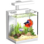 Compact Betta Fish Tank with LED Light & Bio-Ceramic Filter — view 8