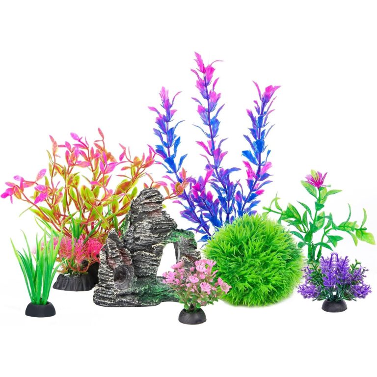 Decor & Plants