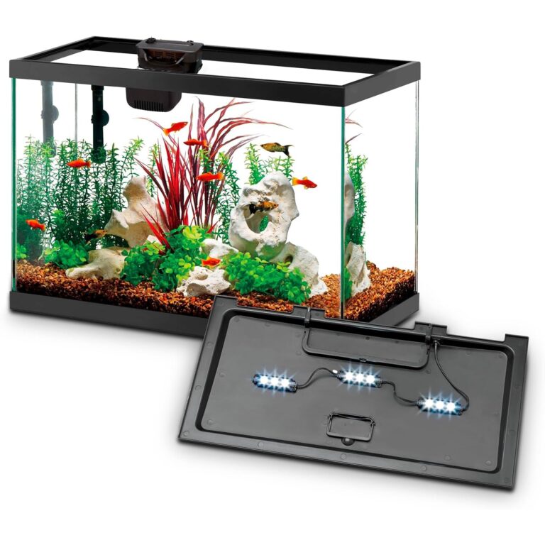 10 Gallon Aquarium Kit