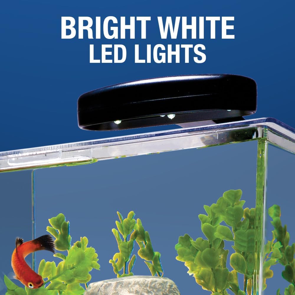 3 Gallon LED Cube Aquarium Kit – Complete Setup — view 7