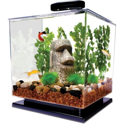 3 Gallon LED Cube Aquarium Kit – Complete Setup
