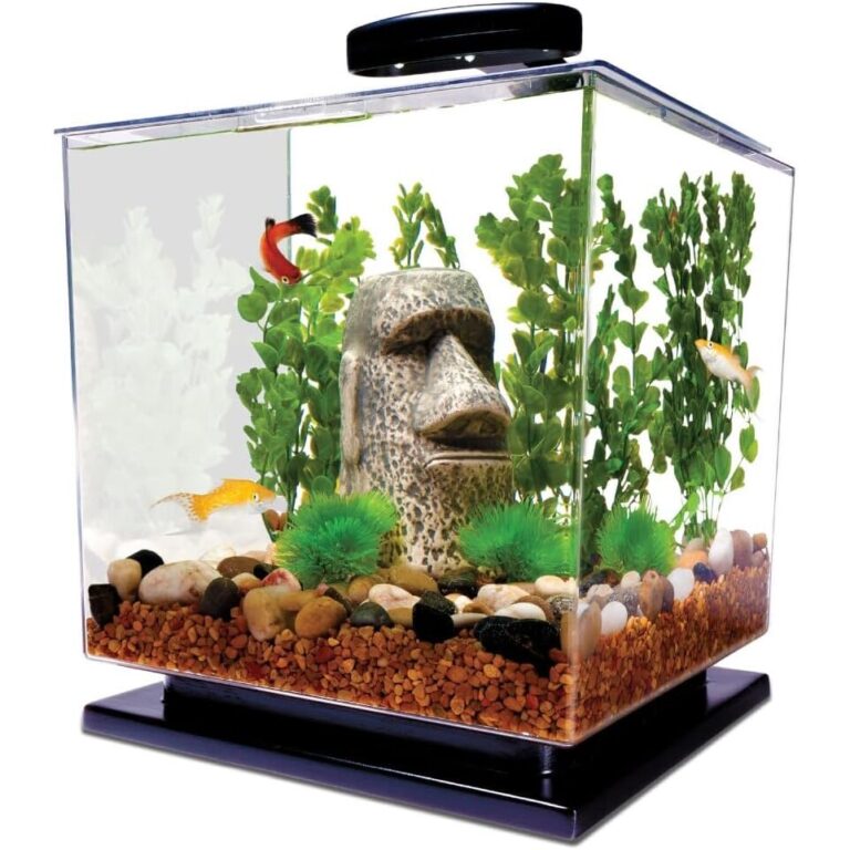 Tanks & Starter Kits
