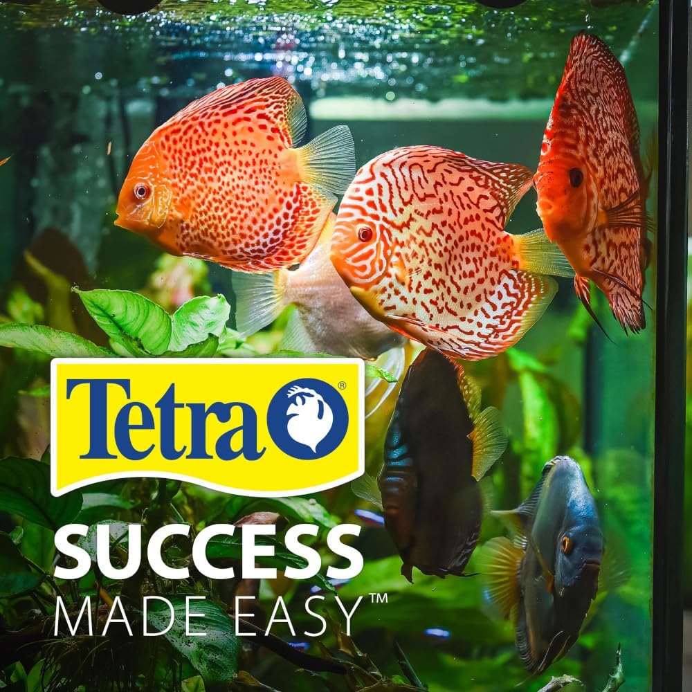 3 Gallon LED Cube Aquarium Kit – Complete Setup — view 9