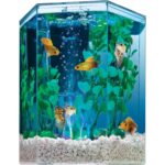 3 Gallon LED Cube Aquarium Kit – Complete Setup — view 12