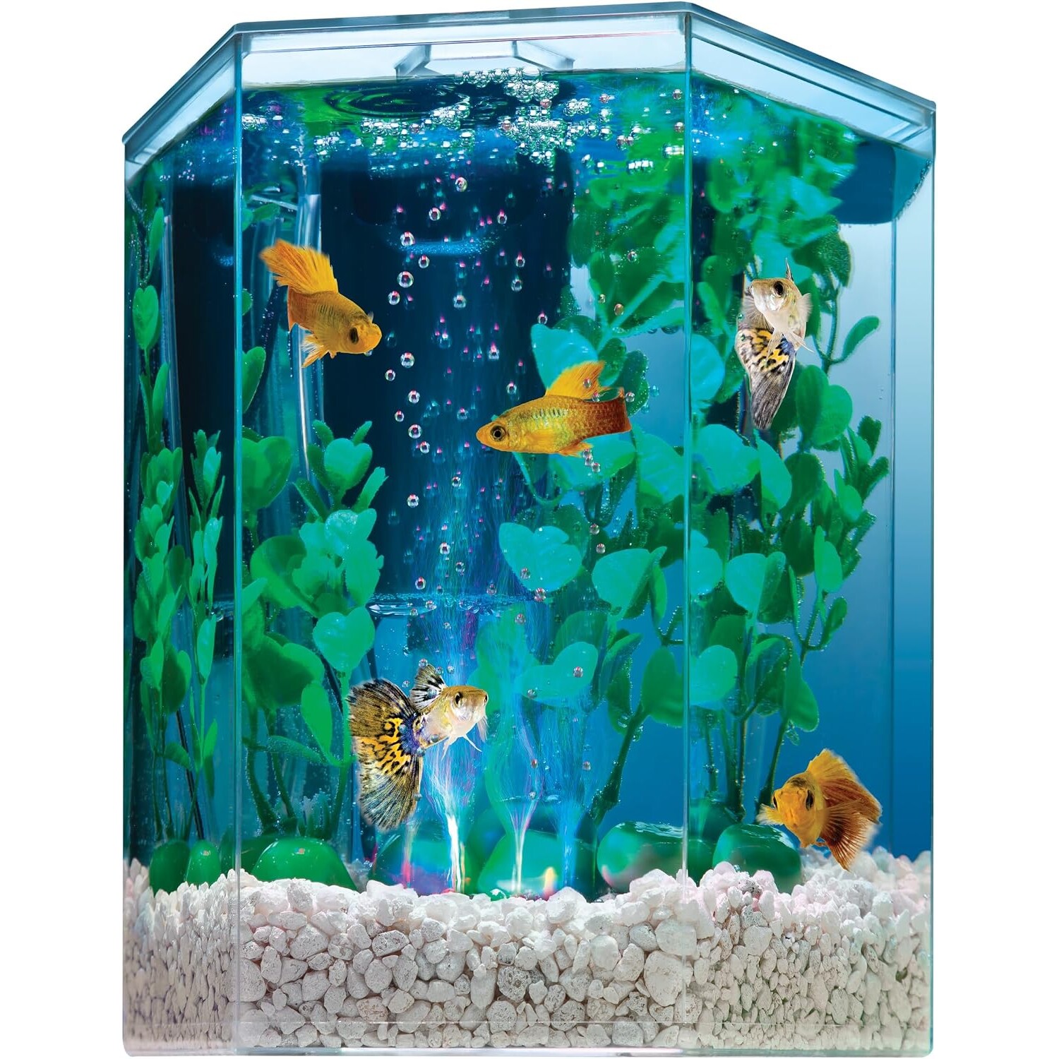 3 Gallon LED Cube Aquarium Kit – Complete Setup — view 12