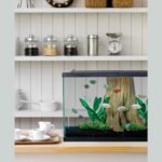 Clear Glass 20 Gallon Long Aquarium Tank for Fish & Reptiles — view 6