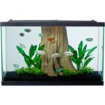 Clear Glass 20 Gallon Long Aquarium Tank for Fish & Reptiles