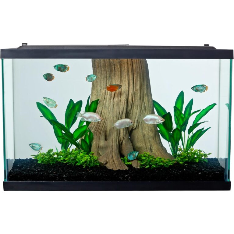 Clear Glass 20 Gallon Long Aquarium Tank for Fish & Reptiles