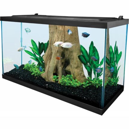 Clear Glass 20 Gallon Long Aquarium Tank for Fish & Reptiles — view 2