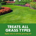 Liquid Lawn Fertilizer 30-0-0 Spray - 3 Pack