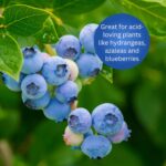 Fast-Acting Garden Sulfur - 5lb Soil pH Lowerer