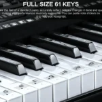 Digital Piano Kit