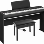 Digital Piano