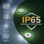 12-Pack Solar Ground Path Lights