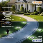 12-Pack Solar Ground Path Lights