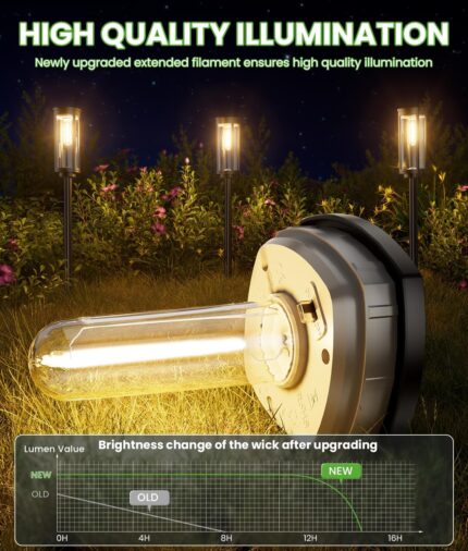 Black Solar Path Lights with Edison Bulb