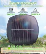 Black Solar Path Lights with Edison Bulb
