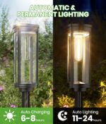 Black Solar Path Lights with Edison Bulb