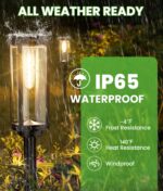 Black Solar Path Lights with Edison Bulb