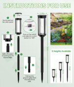 Black Solar Path Lights with Edison Bulb