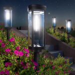 Black Solar Path Lights with Edison Bulb