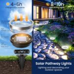 Stainless Steel Solar Ground Lights