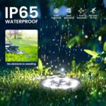 Stainless Steel Solar Ground Lights