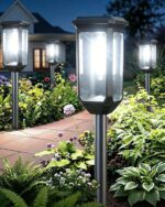 Premium Solar Pathway Lights