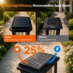 Premium Solar Pathway Lights