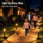 Premium Solar Pathway Lights