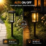 Premium Solar Pathway Lights