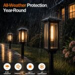 Premium Solar Pathway Lights