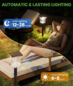 Cylindrical Solar Path Lights