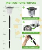 Cylindrical Solar Path Lights
