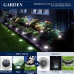 Solar Disk Ground Lights