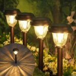 Elegant Bronze Solar Path Lights