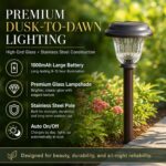 Elegant Bronze Solar Path Lights
