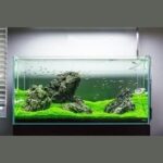 AC50 Power Filter for 20-50 US Gal Aquariums — view 2
